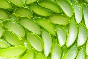 Aloe vera slice top view texture background. green aloe vera slice background. photo