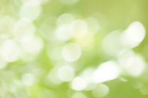 Green bokeh background. Green bokeh on nature defocus art abstract blur background. photo