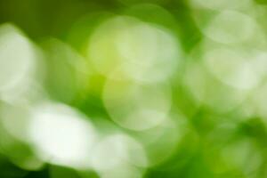 Green bokeh background. Green bokeh on nature defocus art abstract blur background. photo