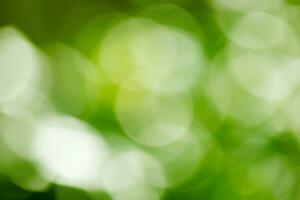 Green bokeh background. Green bokeh on nature defocus art abstract blur background. photo