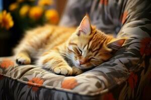 AI generated Home tranquility Cute cat peacefully sleeps on the cozy sofa photo