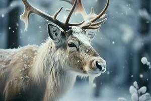 AI generated Frosty elegance reindeer roam a winter forest, embodying the magic of the season photo