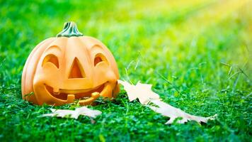 Halloween pumpkin in the grass photo