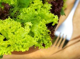 Fresh lettuce salad photo