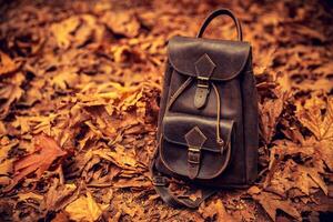 Leather backpack in autumn forest photo