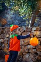 Trick or Treat Halloween Tradition photo