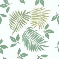 Seamless Pattern Sage Green Palm Tree Leaves vector