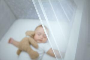 Adorable child sleeping with soft toy photo