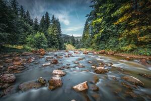 Mountain river in Carpathians. Ukraine photo