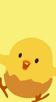 cute chicken and chick expression poster display vector