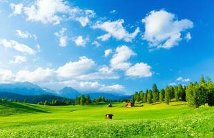 Picturesque view in summer Alps photo