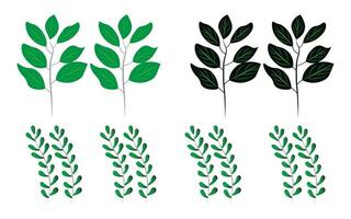 Botanical pattern and background design vector