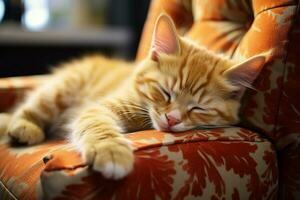 AI generated Lazy cat day Cute cat sleeping on the sofa at home photo