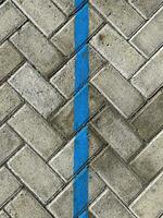 paving block texture with blue line photo