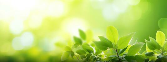 AI generated eautiful natural spring summer defocused panoramic background frame with fresh juicy foliage and photo