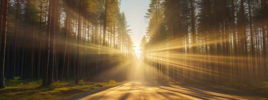 AI generated Sunbeams shine through the trees onto an empty road in a pine forest photo