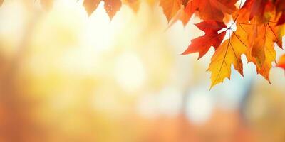 AI generated Defocused colorful bright autumn ultra wide panoramic background with blurry red yellow and orange photo