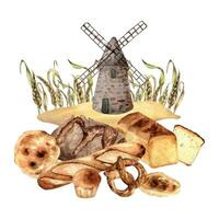 Watercolor composition of variety bread and mill in the background isolated on white. Hand drawn rye bread, pretzel for bakery. Painted baguette,brioche. Element for design bakeshop, packaging vector