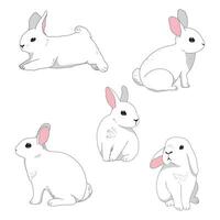 Minimal bunny line art doodle in different bunny rabbit poses vector illustration