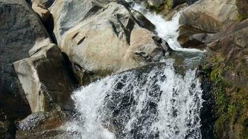 szenisch Wasserfall, Kristall klar Wasser im klein Berg Fluss im das Wald. schnell Strom im Grün Wald mit klein Wasserfälle, schön Wasserfall im Grün Wald im Urwald video