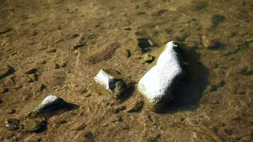 acqua con increspature su il superficie, selvaggio montagna fiume fluente attraverso pietra massi, acqua chiaro ruscello fiume fluente nel il in profondità foresta video