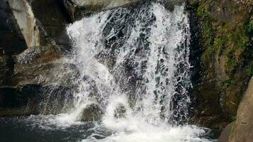 escénico cascada, cristal claro agua en pequeño montaña río en el bosque. rápido corriente en verde bosque con pequeño cascadas, hermosa cascada en verde bosque en selva video