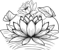 Nymphaea water lily drawings, outline water lily drawing, outline water lily flower drawing, black and white water lily drawing, sketch water lily drawing, hand drawn sketch water lily drawing vector