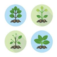 Flowers and plants seedling process flat icons set isolated vector illustration.