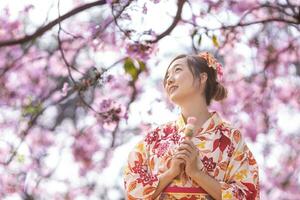 japonés mujer en tradicional kimono vestir participación dulce hanami dango postre mientras caminando en el parque a Cereza florecer árbol durante primavera sakura festival foto