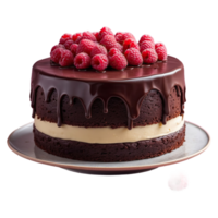 AI generated Raspberry Chocolate Cake isolated on transparent background png