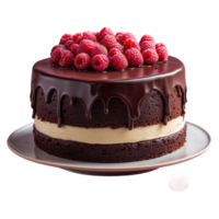 ai généré framboise Chocolat gâteau isolé sur transparent Contexte png