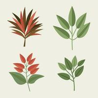 set of leaves vector