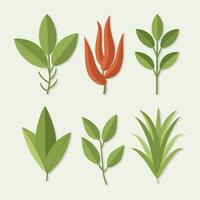 Vintage botanical leaf collection vector