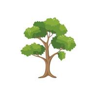 a cartoon tree with green leaves on a white background vector