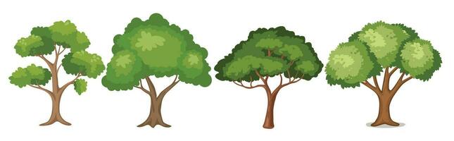 un dibujos animados árbol con verde hojas en un blanco antecedentes vector