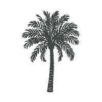 un palma árbol es mostrado en un negro y blanco dibujo vector