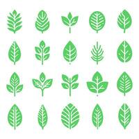 icon set of green leaves with white background vector