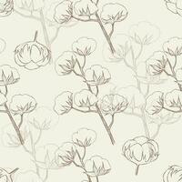 Seamless vector pattern with cotton flowers