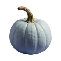 AI generated Pumpkin isolated on transparent background png