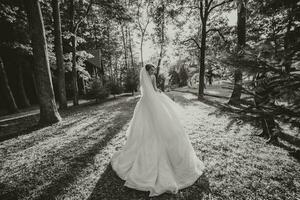 Beautiful bride in a wedding dress with a long train standing back in the forest. Black and white photo