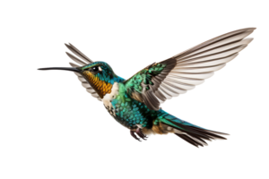 ai generiert schön Kolibri im Flug auf transparent Hintergrund png