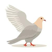 Cartoon pigeon isolated on white background. Cartoon style. Vector illustration.