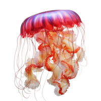 AI generated Jellyfish Isolated On Transparent Background png