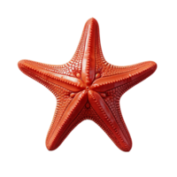 AI generated Vibrant Starfish Isolated On Transparent Background png