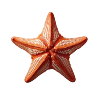 AI generated Vibrant Starfish Isolated On Transparent Background png
