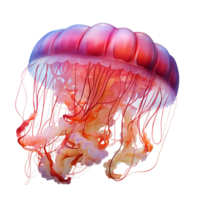 AI generated Jellyfish Isolated On Transparent Background png