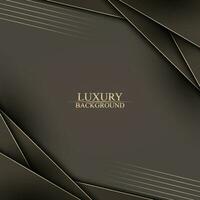 Luxury stripes overlapping layer with lines. vector