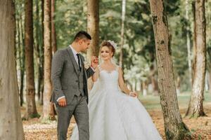 el novia y novio caminar mano en mano mediante el bosque. contento Pareja. Boda foto. Pareja en amor. alto árboles, gran angular foto. Perfecto ligero foto