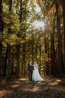 Happy couple. Wedding photo. Couple in love, walking in the forest at sunset, wedding dress with long train, place for advertising photo