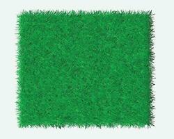 Vector realistic background of green grass